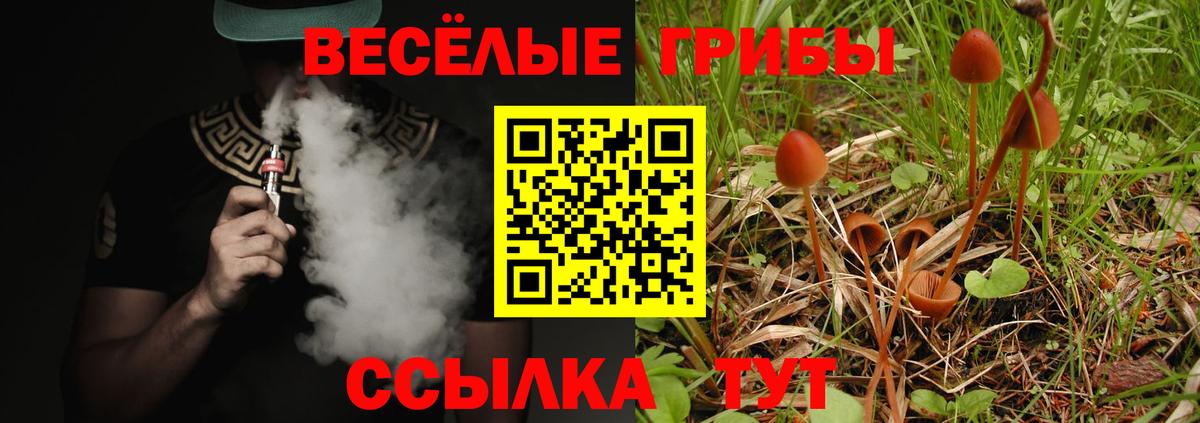 Нижневартовск  Галлюциногенные грибы Magic Shrooms  Вход с VPN 